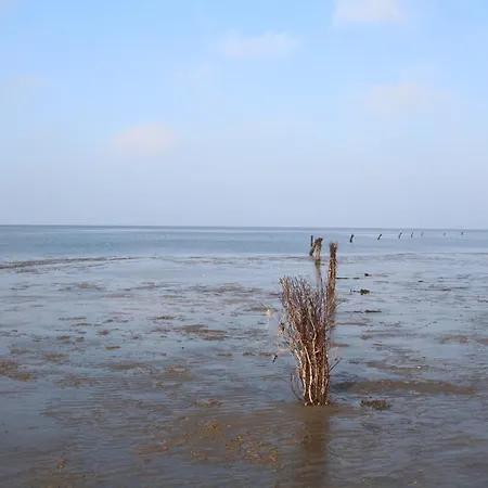 Quartier Hohe Geest 18 - Strandzeit * קושהאבן